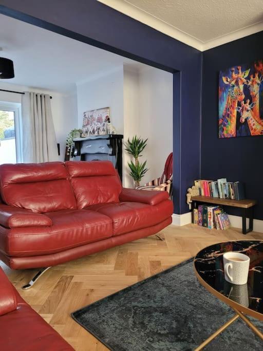 Coast Road Retreat-A Stunning 3 Bed Home In Larne Eksteriør bilde