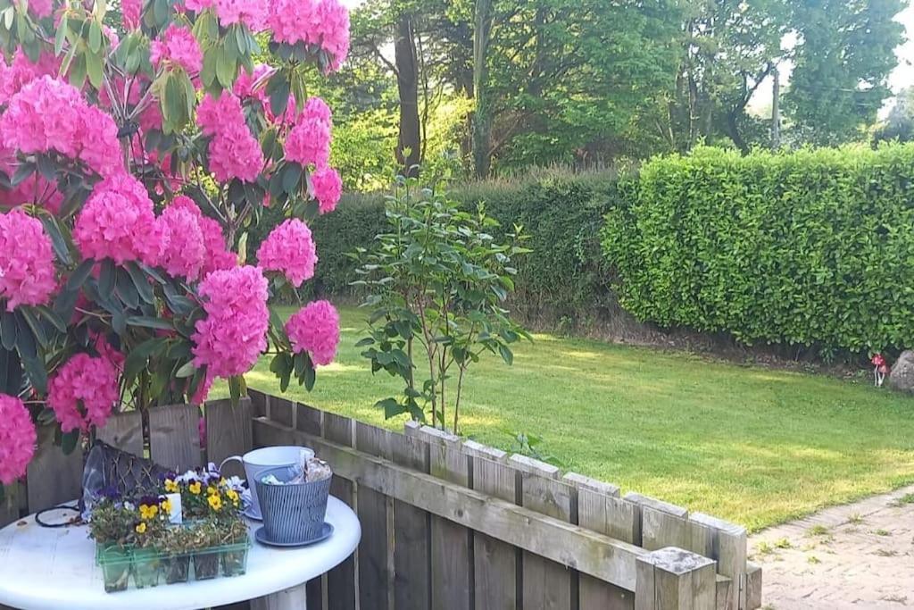 Coast Road Retreat-A Stunning 3 Bed Home In Larne Eksteriør bilde