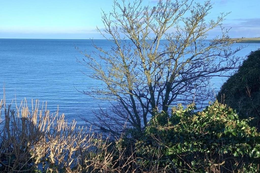 Coast Road Retreat-A Stunning 3 Bed Home In Larne Eksteriør bilde